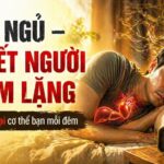 Tác Hại Của Việc Mất Ngủ – Đừng Xem Nhẹ Nếu Bạn Muốn Sống Khỏe.